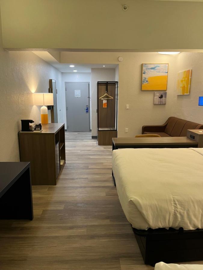 คอมฟอร์ต สวีท เคลียร์วอเตอร์ - ดานีดิน Hotel ภายนอก รูปภาพ